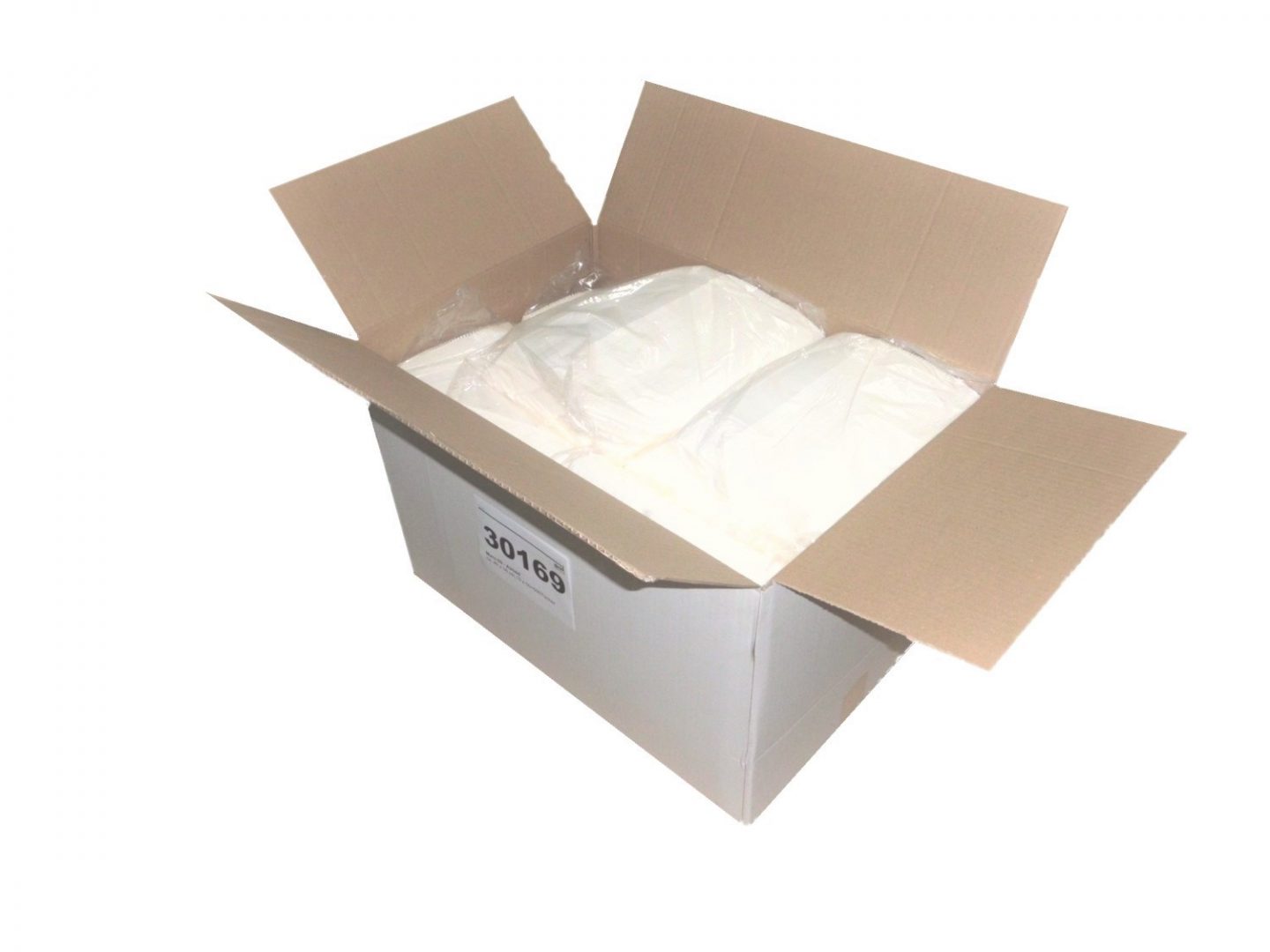 30169 Karton offen freigestellt